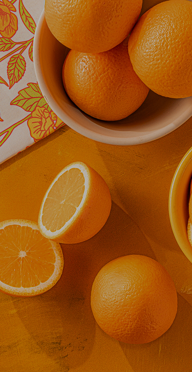 Quiz intro background mobile